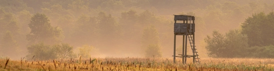 A deer stand sits in the middle of a field.