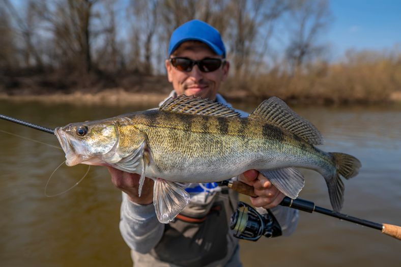 A person in a blue cap and sunglasses holds up a large fish in front of a river. Trees are visible in the background under a clear blue sky.